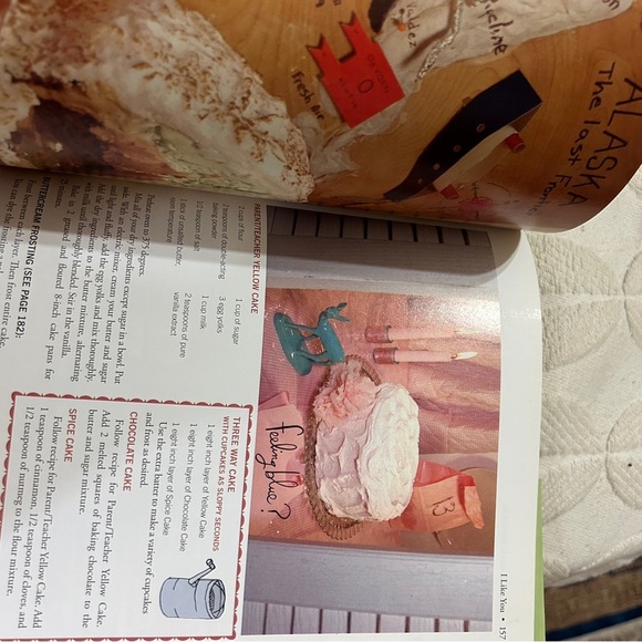 EUC hardback book. Amy Sedaris I like you: Hospitality Under the Influence. - Picture 9 of 13